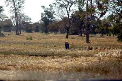 campo (23)  LEADOR BOSQUE